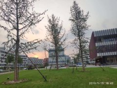 校园环境